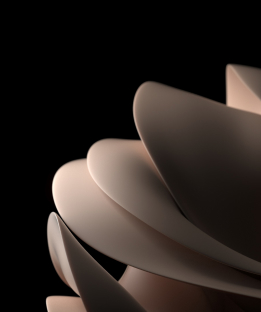 Nutshell Curricula Launch